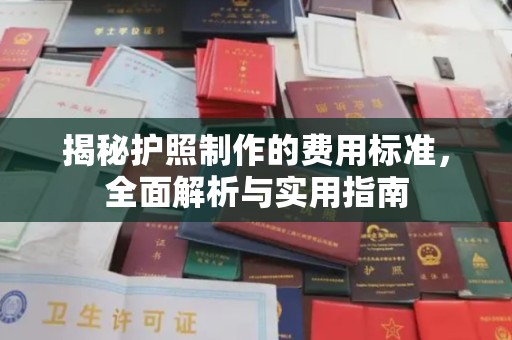 沅江揭秘护照制作的费用标准，全面解析与实用指南